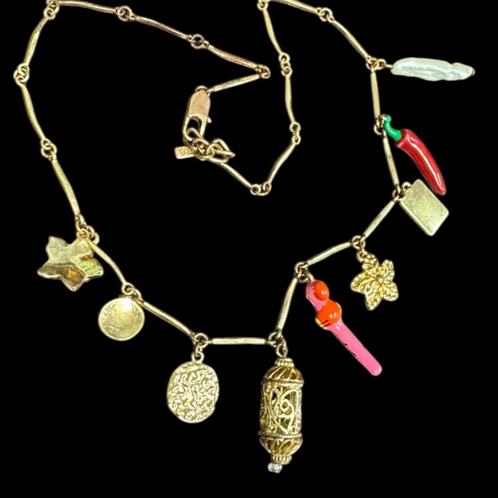 Zara Hot Pepper Charm Necklace - Picture 13 of 16